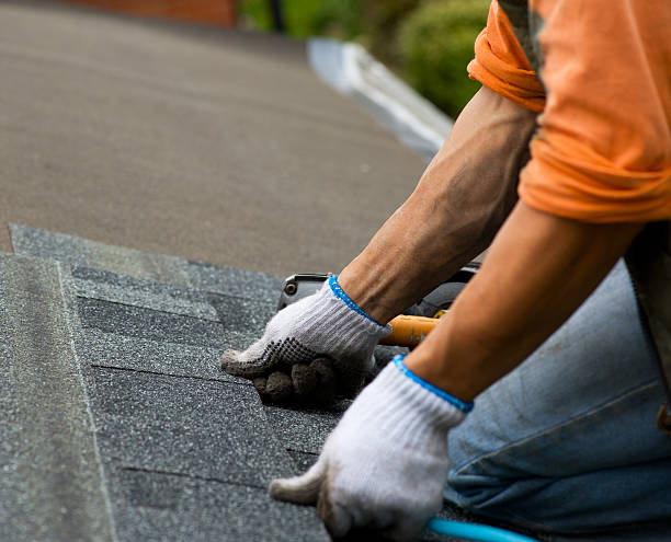 Best Residential Roofing Contractor  in Mount Carroll, IL