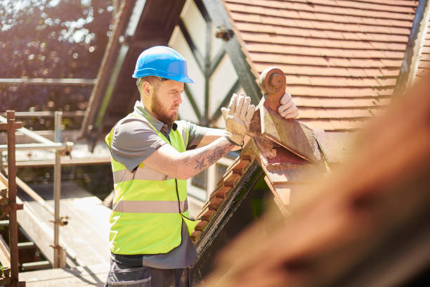 Best Metal Roofing Contractor  in Mount Carroll, IL