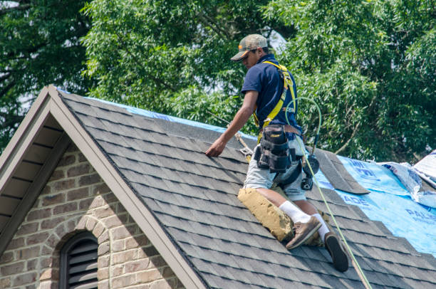Best Gutter Installation and Roofing  in Mount Carroll, IL